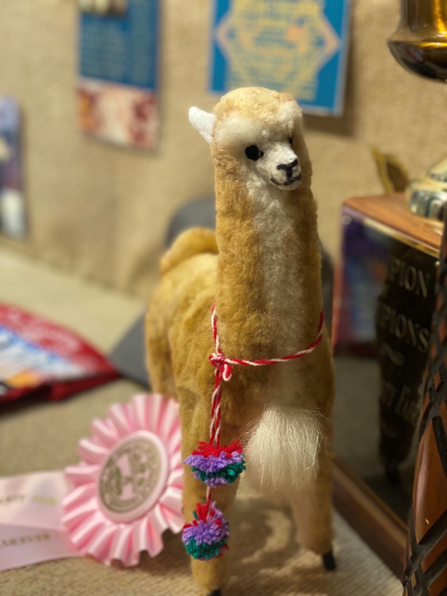 Vicuña