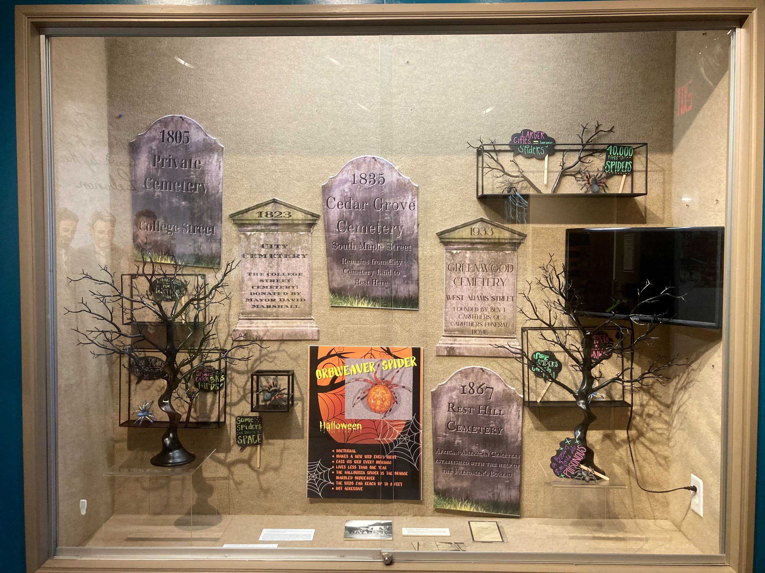 Focus on Cemeteries and Spiders