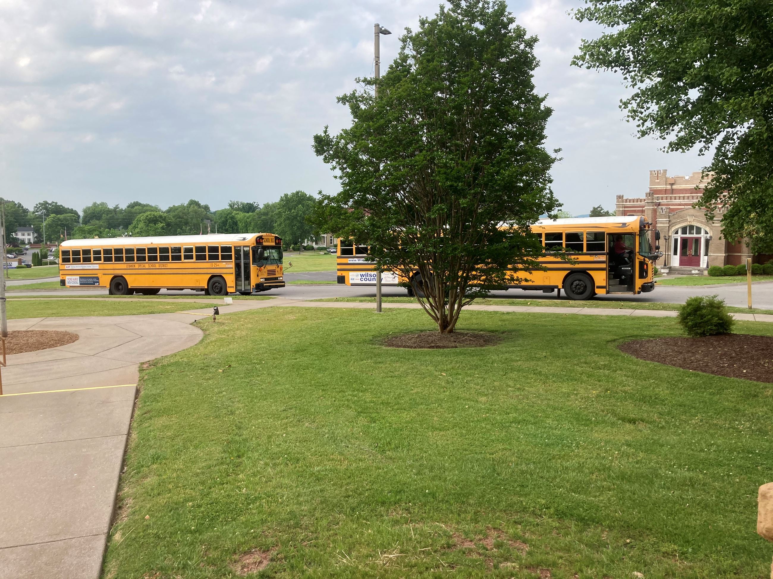 The First Buses Arrive