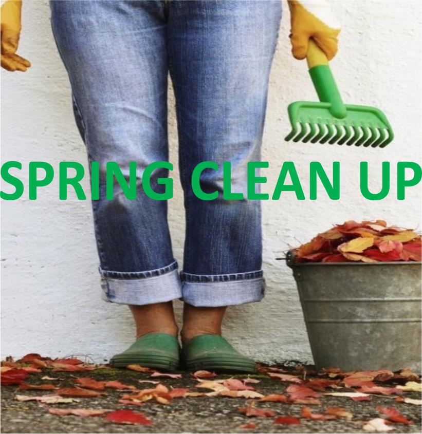 spring-clean-2021
