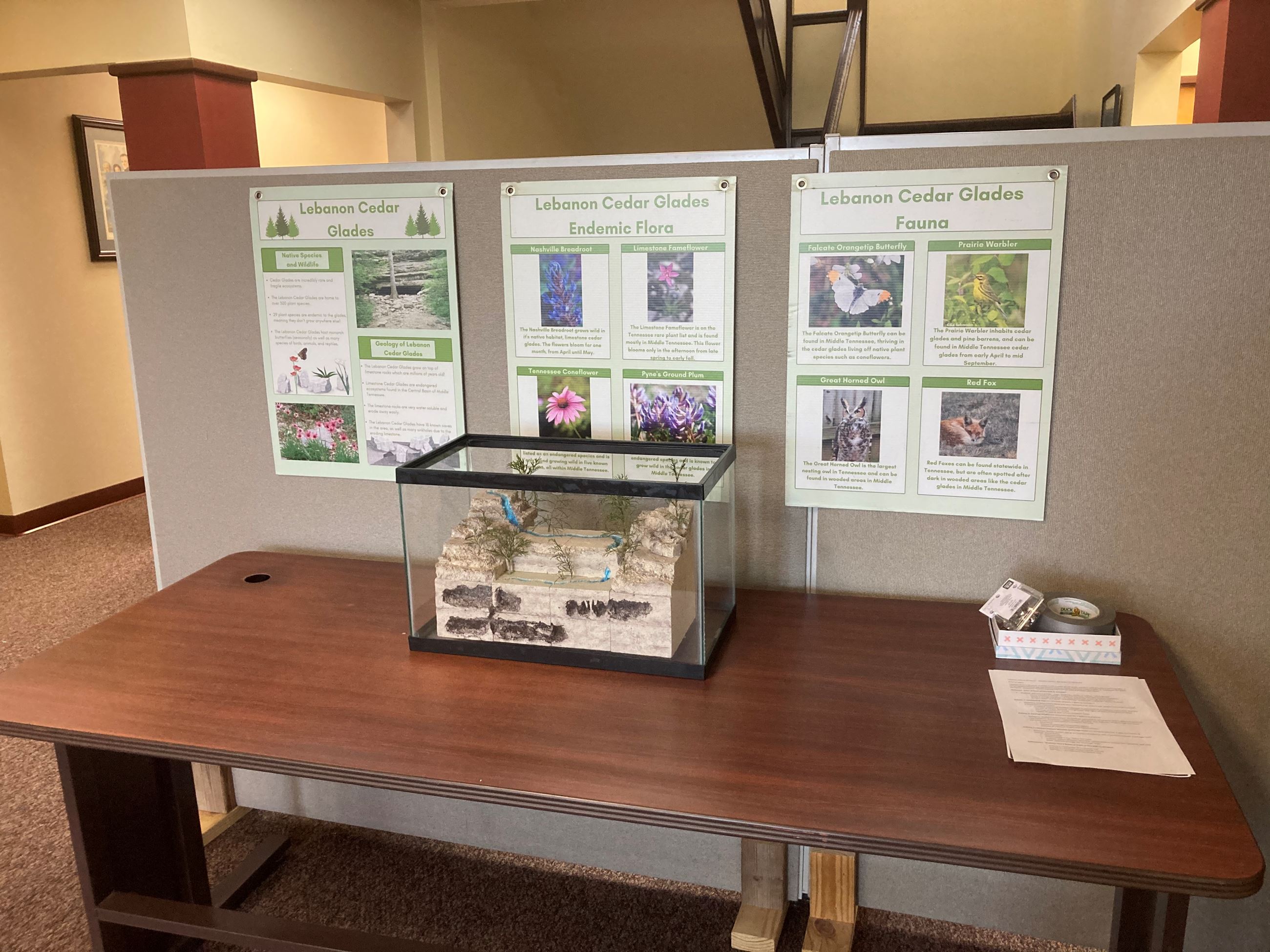 Karst Features Demostrated