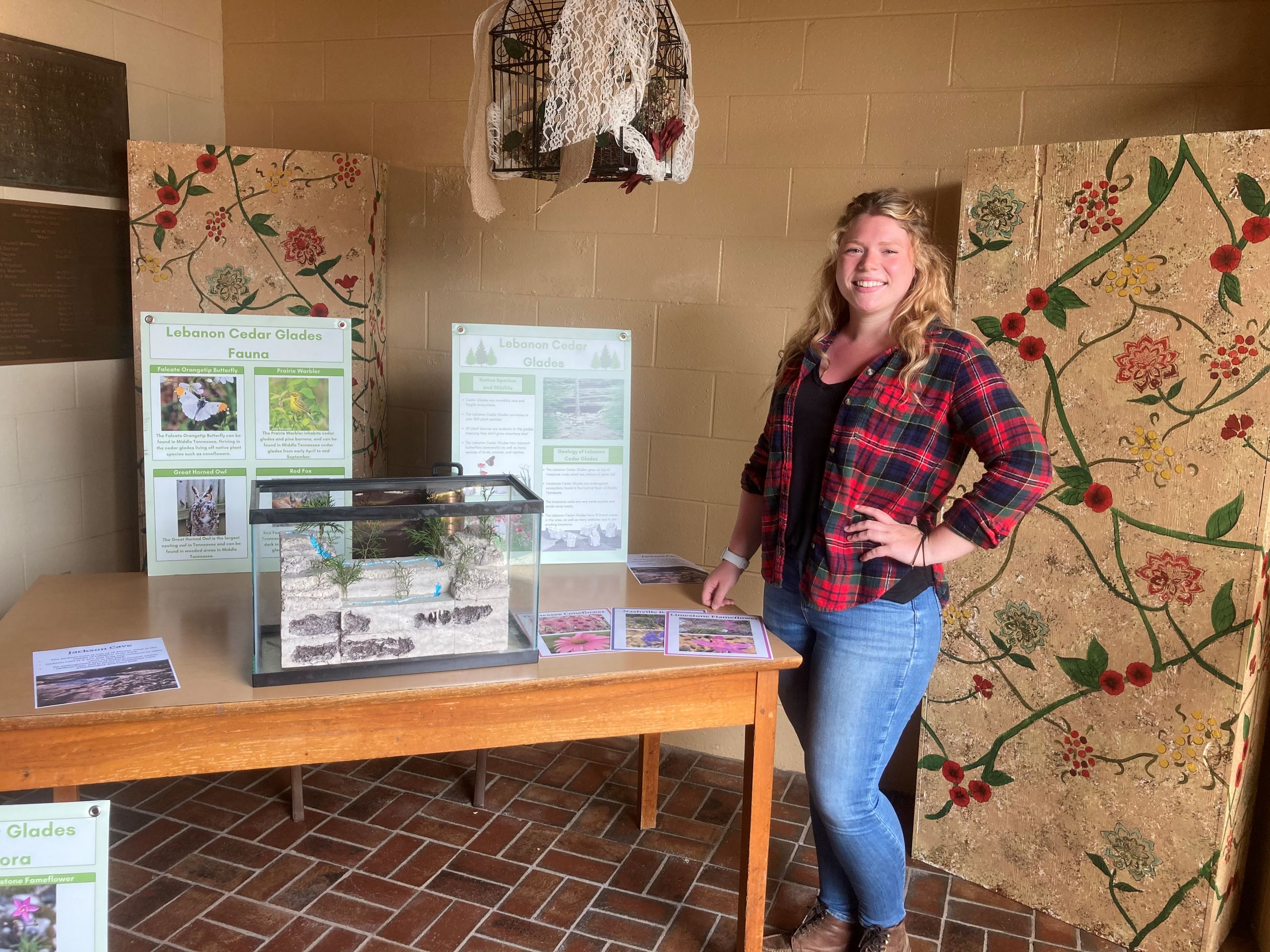 The Limestone Formations of Lebanon The Limestone Formations of Lebanon